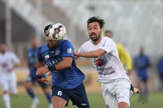 هوادار